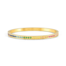 Load image into Gallery viewer, Nomination Pretty Bangles with Coloured CZ - Product Code - 029506 024