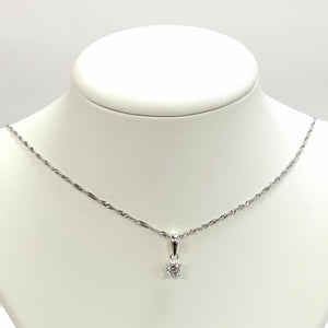 Silver Hallmarked 925 Pendant & Chain- Product Code - L494 & J638