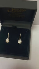 Load and play video in Gallery viewer, Diamond Drop Earrings - G710
