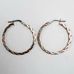 9ct Rose & White Gold Hallmark Earring - Product Code - J580