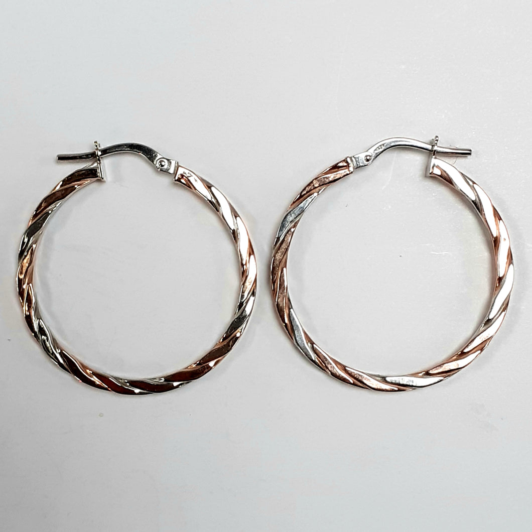 9ct Rose & White Gold Hallmark Earring - Product Code - J580