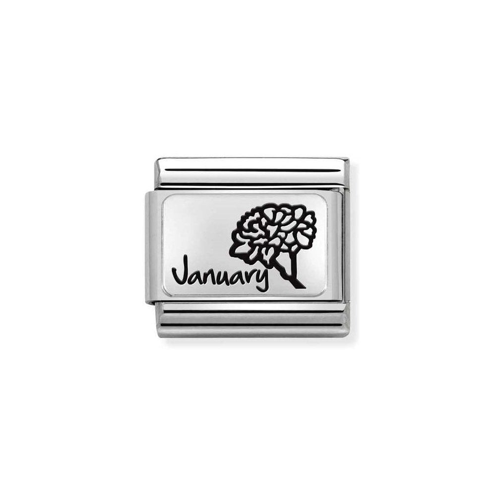 Nomination Silver January Carnation Flower Charm - Product Code - 330112/13
